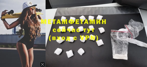 шишки Верея