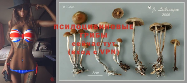 винт Верхний Тагил