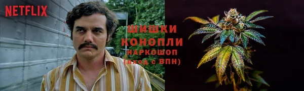 шишки Верея