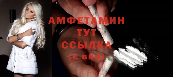 шишки Верея