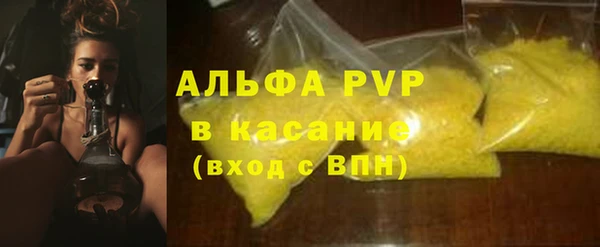 шишки Верея