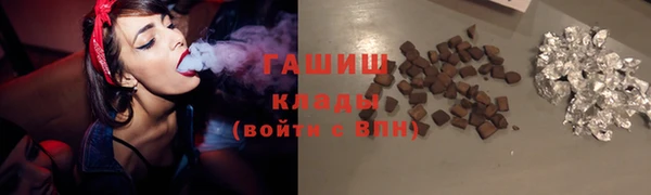 шишки Верея