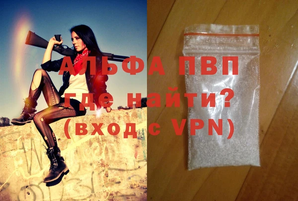 шишки Верея