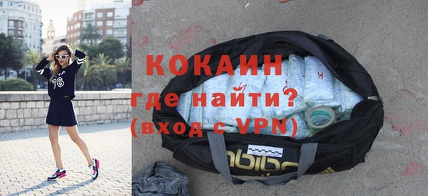шишки Верея