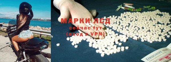 шишки Верея