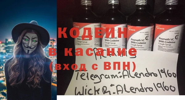 шишки Верея